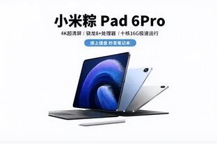 开云app入口网页版登录截图3